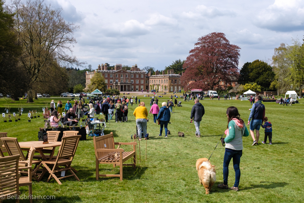 Picture of an event at Weston Park